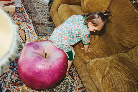 2026 FALL / WINTER